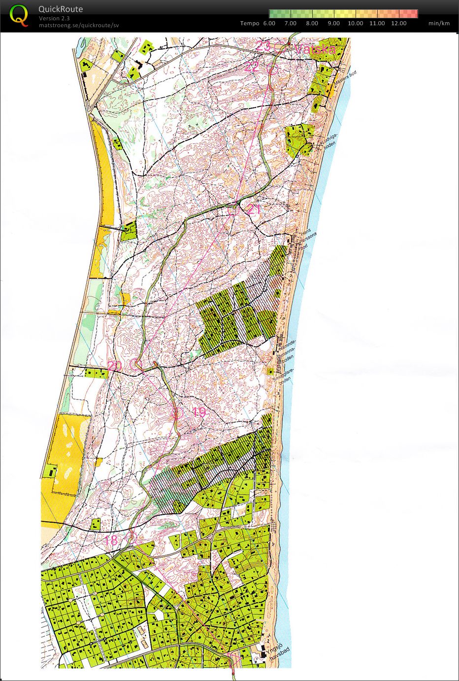 Hemlängtan #2 (2009-12-31)