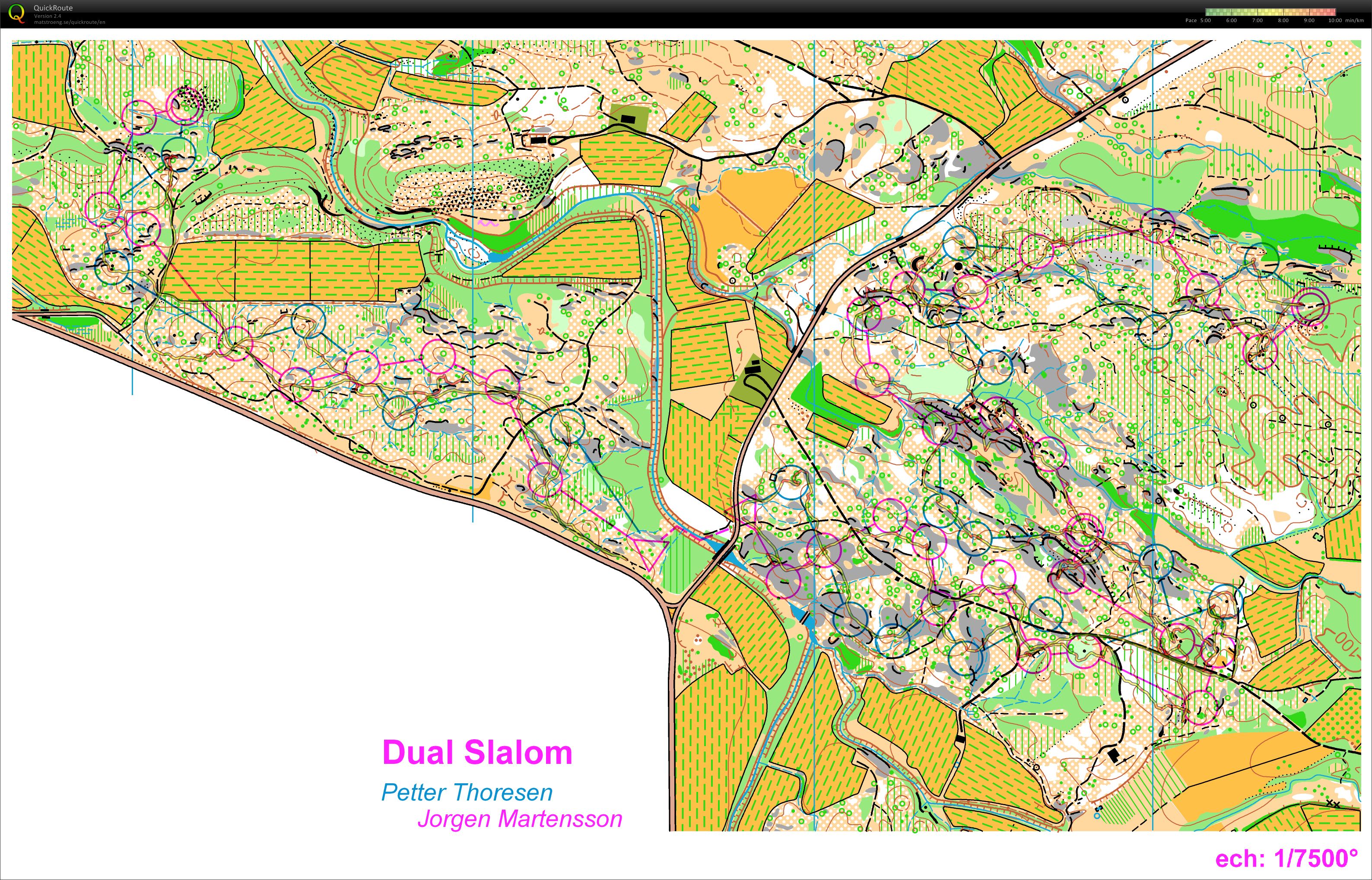 Dual-slalom no flags (2013-01-09)